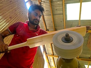 Photos: Rampant logging hits India's Cricket batmakers for six