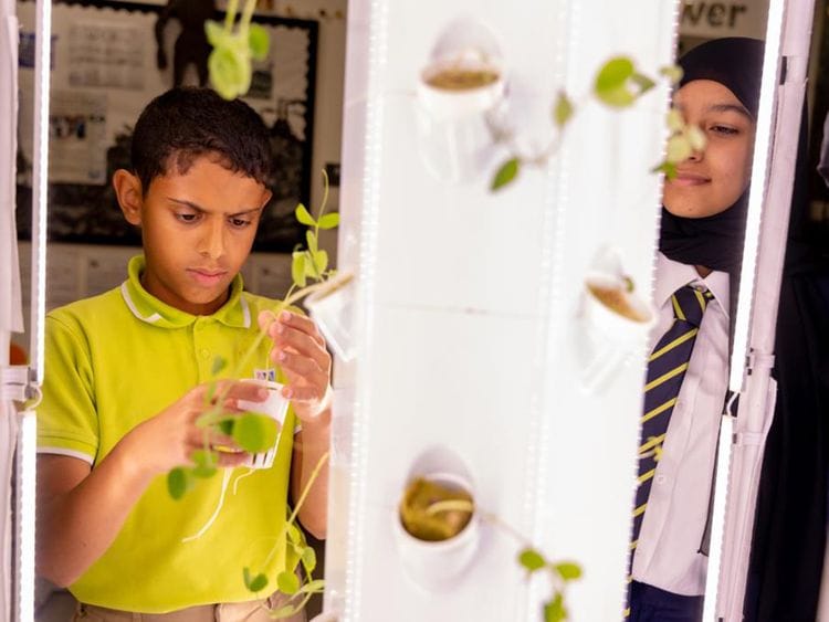 Mamoura-British-Academy-1695727682340