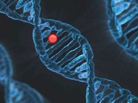 The tool focuses on so-called "missense" mutations, where a single letter of the genetic code is affected. (For illustrative purposes only)