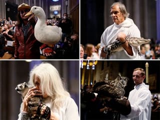 Photos: Parade of pets blessed at New York cathedral