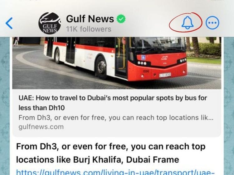 A step-by-step guide on how to subscribe to Gulf News on Whatsapp Channels.