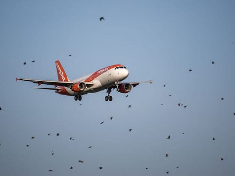 The company follows rival Ryanair Holdings in placing a massive purchase commitment this year as airlines seek to replace older planes.