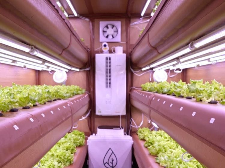 airfarm-at-adu-campus-pic-is-screenshot-of-ad-media-office-video-1697100784386