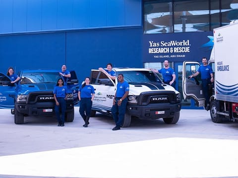 When contacted for assistance, the team of marine wildlife rescue experts from both EAD and the Yas SeaWorld Research & Rescue Centre will first assess the situation, come up with a rescue plan tailored to the type of animal that is in distress. Once the plan is communicated, the ambulance is equipped and dispatched to the rescue location to further assess the animal’s condition and initial steps of care.