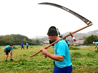 
Photos: Austrian reapers competed in scythe grass cutting