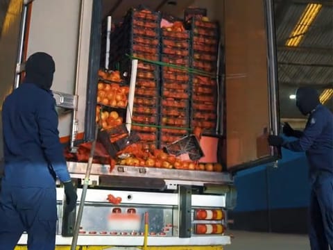 The illicit drugs were found hidden inside the cavities of the pomegranates.