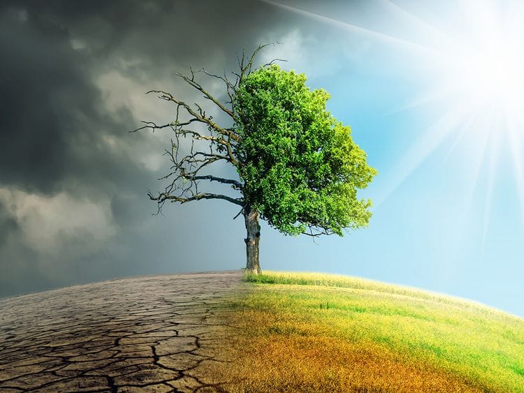 Stock-Climate-Change