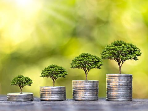 There has never been a more urgent need for all sorts of environment-friendly projects. What's needed is getting funds through to them. 