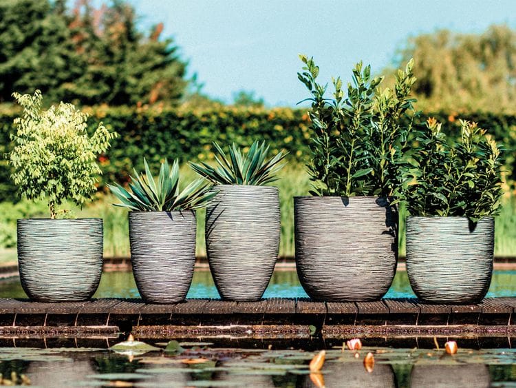 SU_231031_Landscaping-advt-Acacia-Garden-Center-1-FOR-WEB