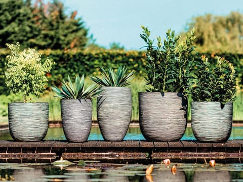 Reimagining the gardens of the future with Acacia Garden Center