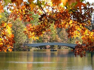 Photos: Stunning autumn colours from around the world