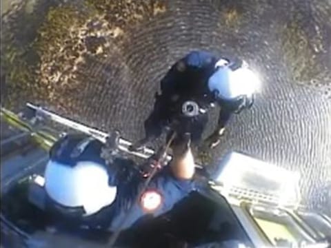 A pilot who crashed into alligator-infested Florida waters was rescued. 