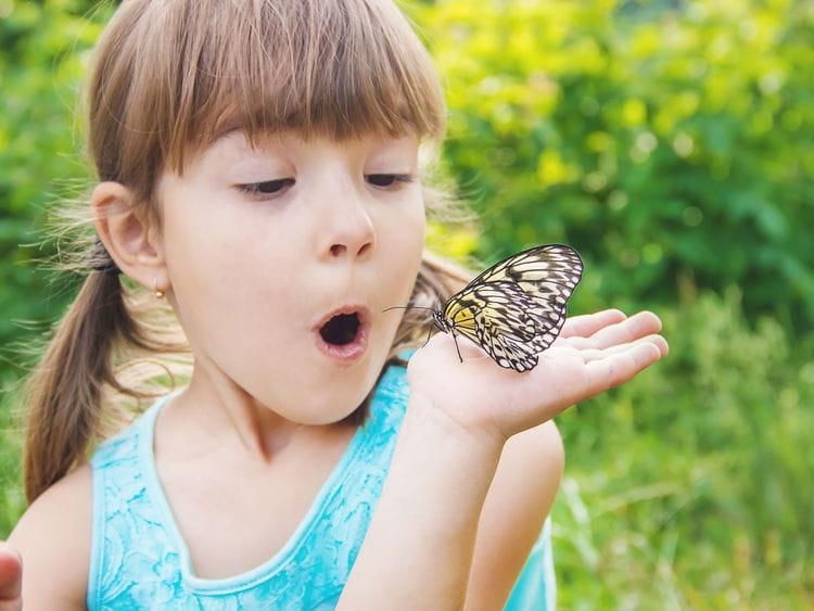 BUtterfly garden child girl