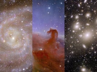 Glimpses of the 'galactic zoo': The five new Euclid images
