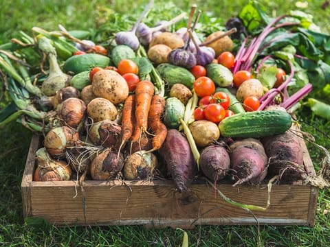 The stable supply of vegetables as harvest season comes likewise resulted in a slower inflation rate of the commodity.