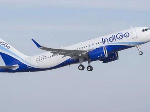 The video shows frightened passengers gripping their seats as the plane violently shakes. 