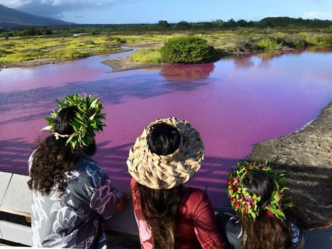 Shad Hanohano, from left, Leilani Fagner and their daughter Meleana Hanohano view the pink water at the Kealia Pond National Wildlife Refuge in Kihei, Hawaii.