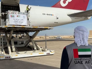 UAE sends 100 tonnes of food, medical supplies to support Palestinians in Gaza