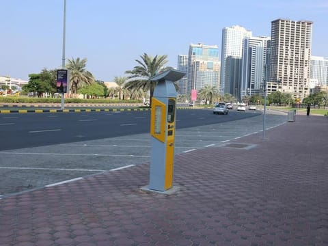 A paid parking metre next to parking spaces in Sharjah. Some parking zones, indicated by blue signs, are paid on all days, including official public holidays.   