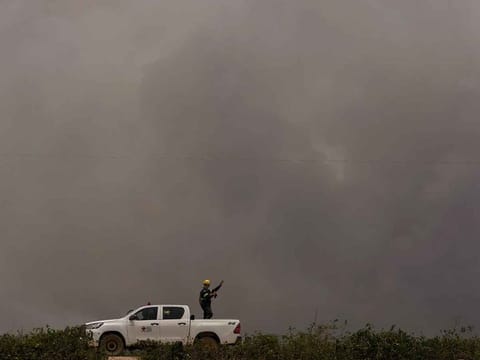 A veterinarian looks for injured animals in an area consumed by wildfires near the Transpantaneira, also known as MT-060, a road that crosses the Pantanal wetlands, near Pocone, Mato Grosso state, Brazil.