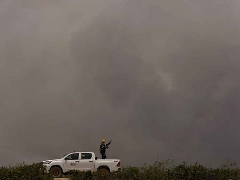 A veterinarian looks for injured animals in an area consumed by wildfires near the Transpantaneira, also known as MT-060, a road that crosses the Pantanal wetlands, near Pocone, Mato Grosso state, Brazil.