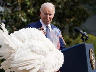 Photos: Biden pardons National Thanksgiving Turkeys