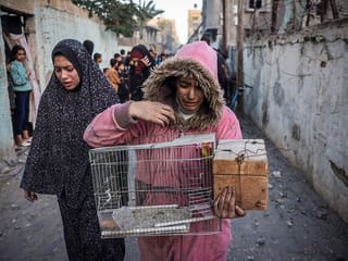 The world must open its eyes to Gaza’s suffering
