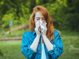 How is seasonal hay fever linked to gut and nose bacteria? 