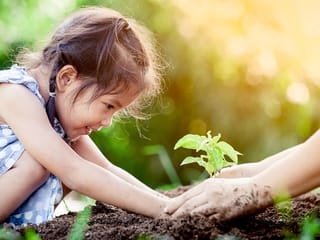 Friluftsliv, the Nordic secret to raising happy kids: Let them enjoy the outdoors