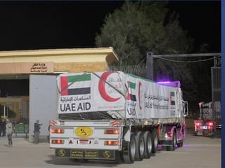 10 UAE aid trucks with 16,520 food parcels enter Gaza