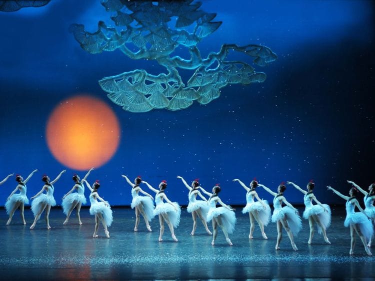 Chinese New Year -crane fairy dance-1701180586272