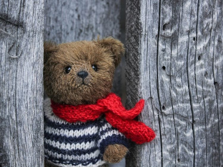 teddy bear
