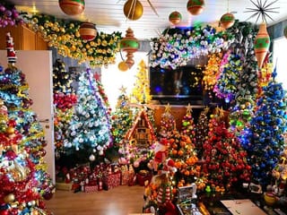 Photos: Couple decorates home with record-breaking 555 Christmas trees