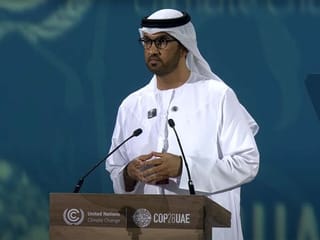 COP28: UAE pledges $200 million for low-income countries to fight climate change 