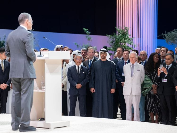 Mohamed bin Zayed and King Charles