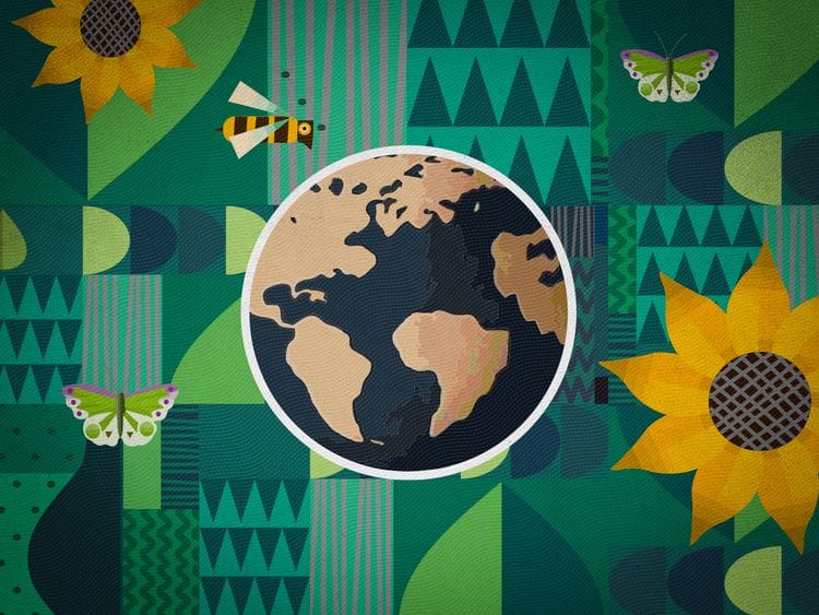 UAE sustainability champions FOR WEB