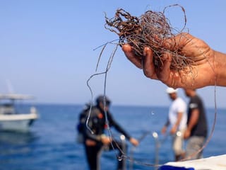 In Pictures: Volunteer divers guard Oman's 'unique' coral reefs