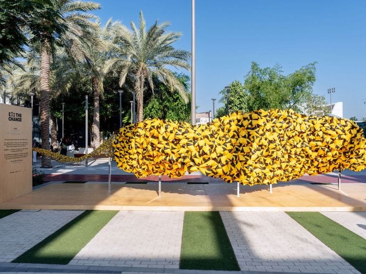 bees-1701755273603