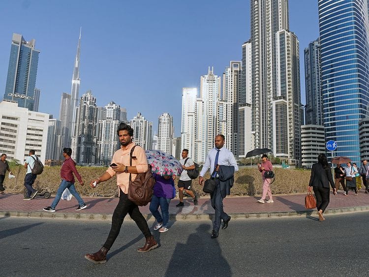 STOCK OFFICE STAFF IN DUBAI / EMPLOYEES / JOBS / UAE