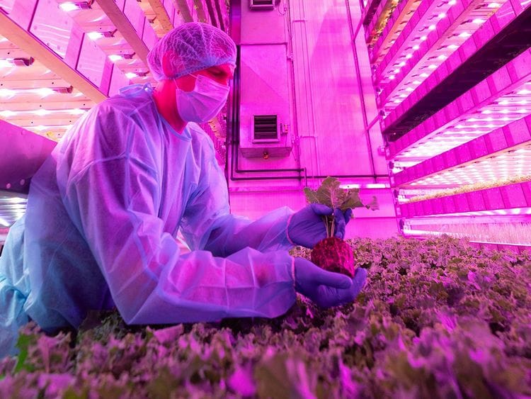 Stock-Food-Tech
