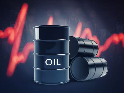 Reuters survey on Friday found that OPEC oil output rose in December as increases in Iraq, Angola and Nigeria offset continuing cuts by Saudi Arabia.