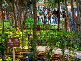 UAE: Visit the Expo City Farm at Green Zone for free during COP28