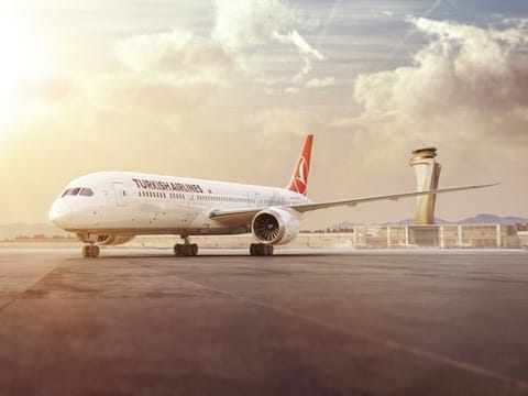 Last year, the airline carried more than 83 million passengers and 1.9 million tonnes of cargo.