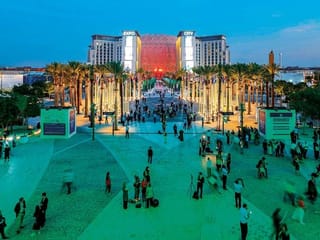 ‘Why I felt like a warrior of the world at COP28’