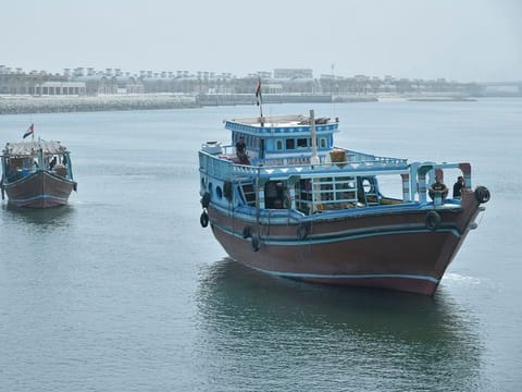 The Marine Agency for Wooden Dhows streamlines entry and exit procedures for wooden ships, overseeing all related operations. A