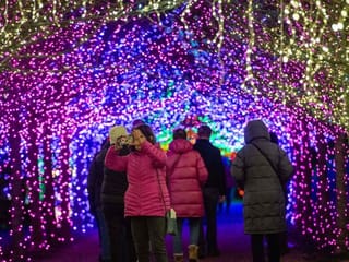 In Pictures: Stockbridge Main Street's dazzling holiday lights in Massachusetts
