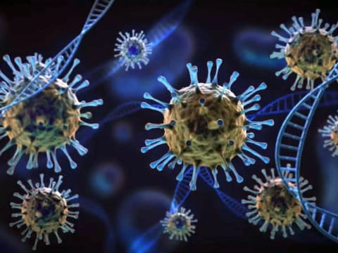  The World Health Organization (WHO) this week classified the JN.1 strain as a "variant of interest" and said current evidence shows risk to public health was low from the strain. Illustrative image.