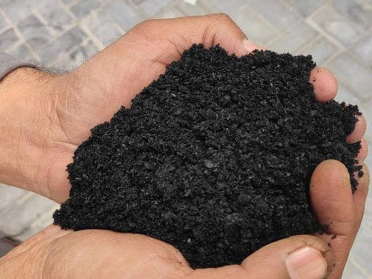 biochar-1703400354752