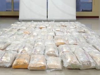 Operation Wheelhouse: Dubai thwarts bid to smuggle 234kg of hashish