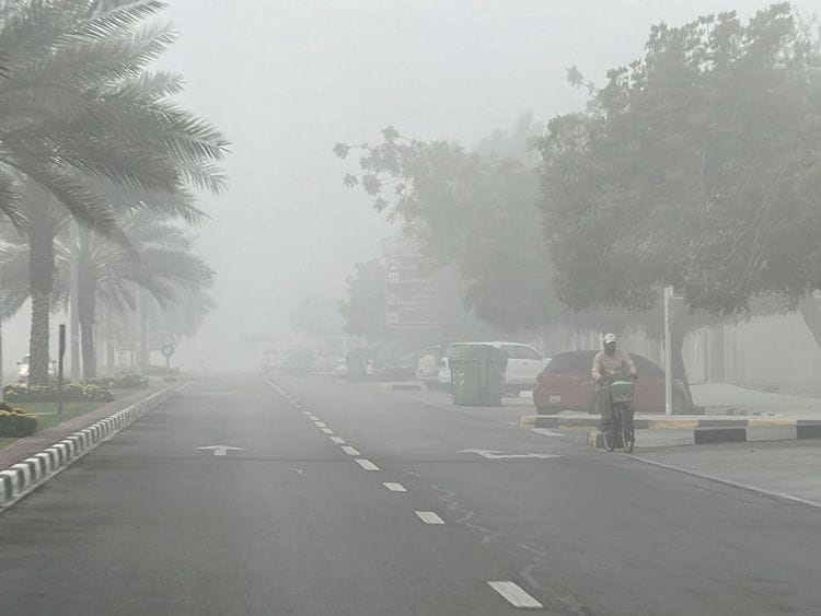 fog uae